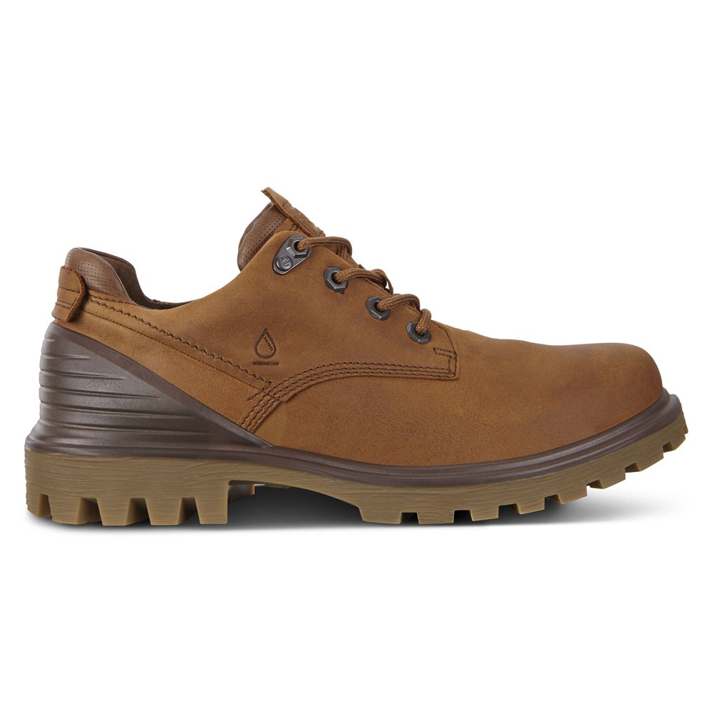 ECCO Mens Hiking Shoes Brown - Tredtray - HVI-185723